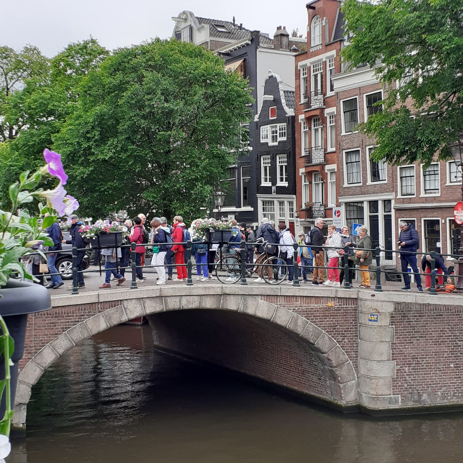 DELFT 20250525 WA0003 3