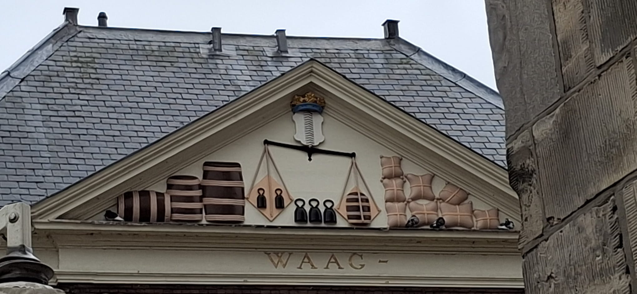 DELFT 20250525 WA0003 5