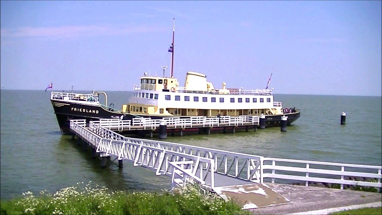 frieslandbis