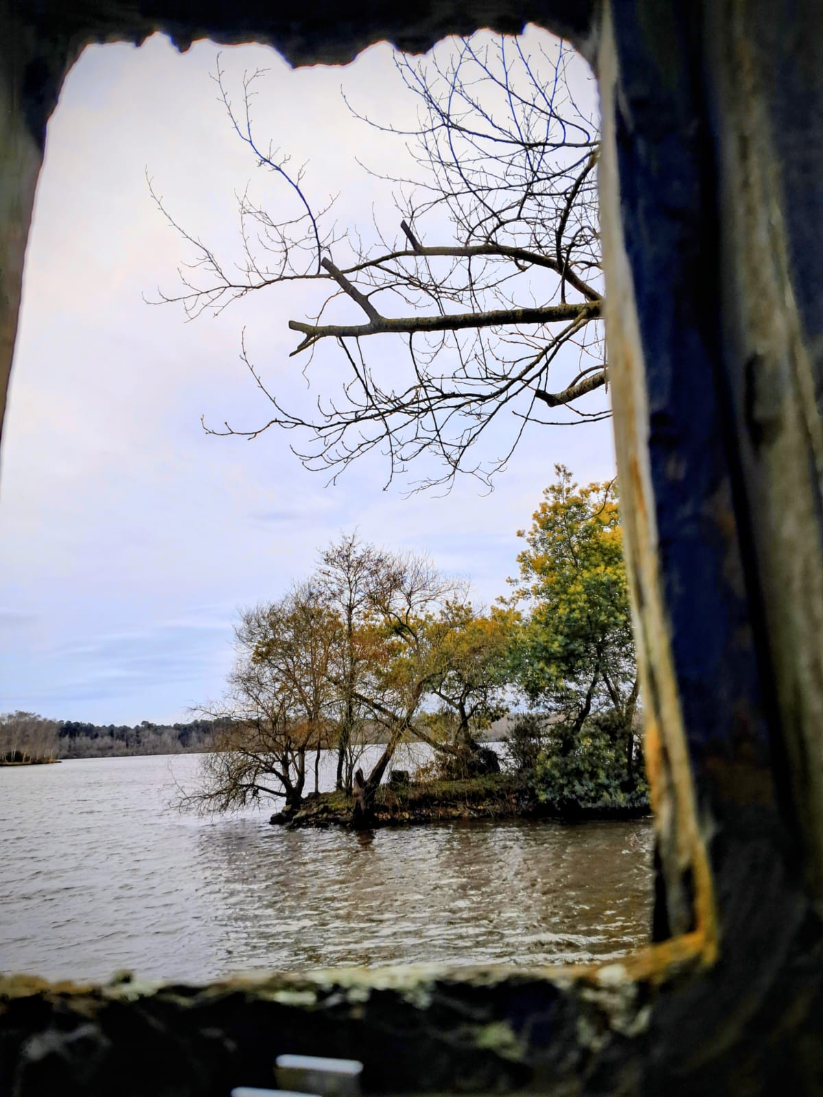 janvier vent treffieux1