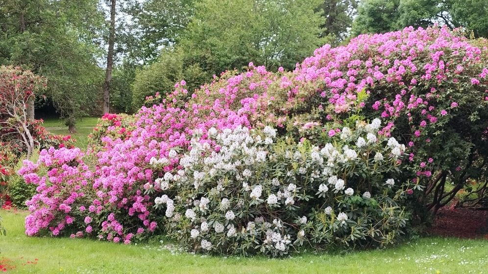 rhodos 13.05.25